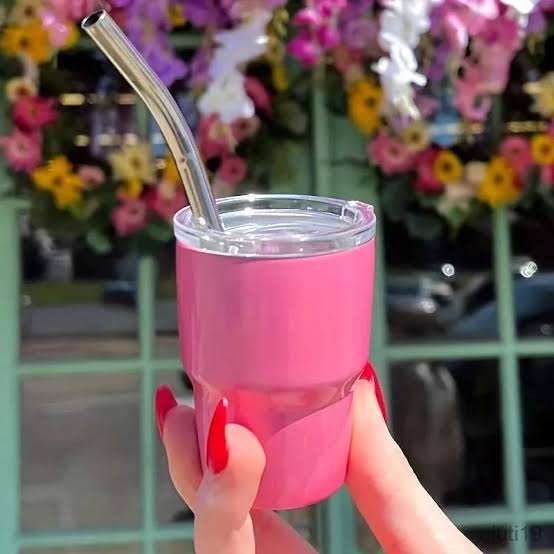 3oz Mini Stainless Steel Tumblers – Set of 6 with Lids & Straws
