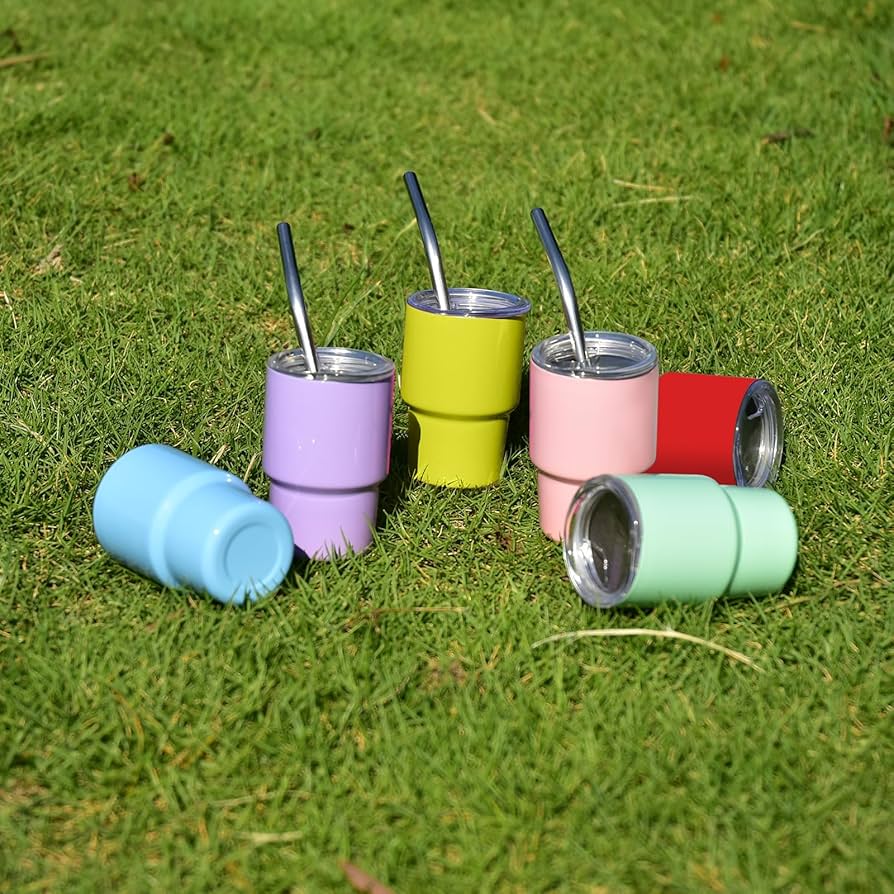 3oz Mini Stainless Steel Tumblers – Set of 6 with Lids & Straws